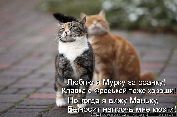 Выносит напрочь мне мозги! Но когда я вижу Маньку, Клавка с Фроськой тоже хороши! Люблю я Мурку за ... Котоматрица: Выносит напрочь мне мозги! Но когда я вижу Маньку, Клавка с Фроськой тоже хороши! Люблю я Мурку за осанку!