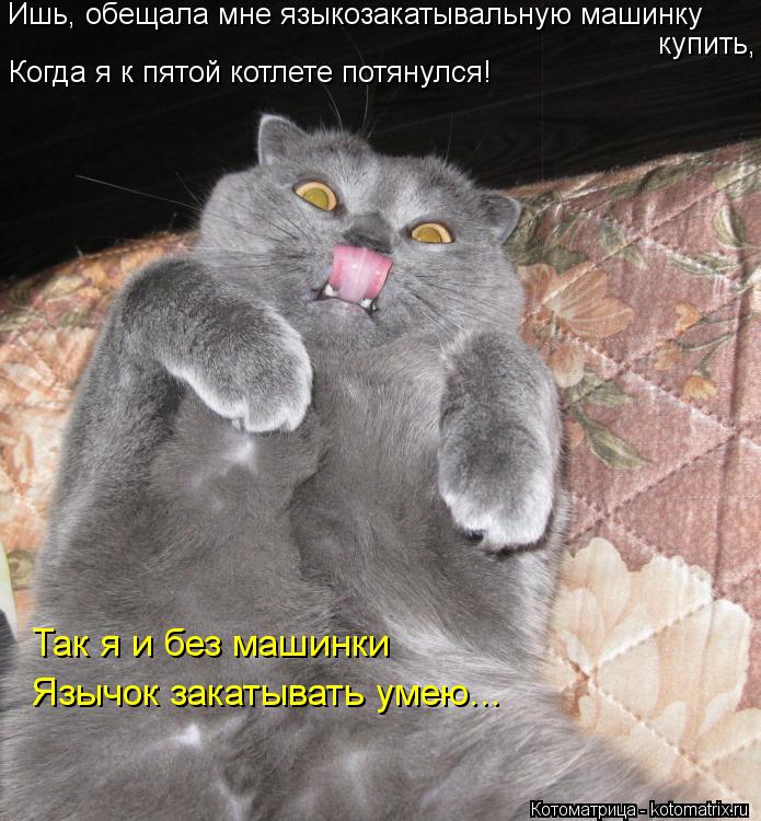 Ишь, обещала мне языкозакатывальную машинку купить, Когда я к пятой котлете потянулся! Так я и без м... Котоматрица: Ишь, обещала мне языкозакатывальную машинку купить, Когда я к пятой котлете потянулся! Так я и без машинки Язычок закатывать умею...