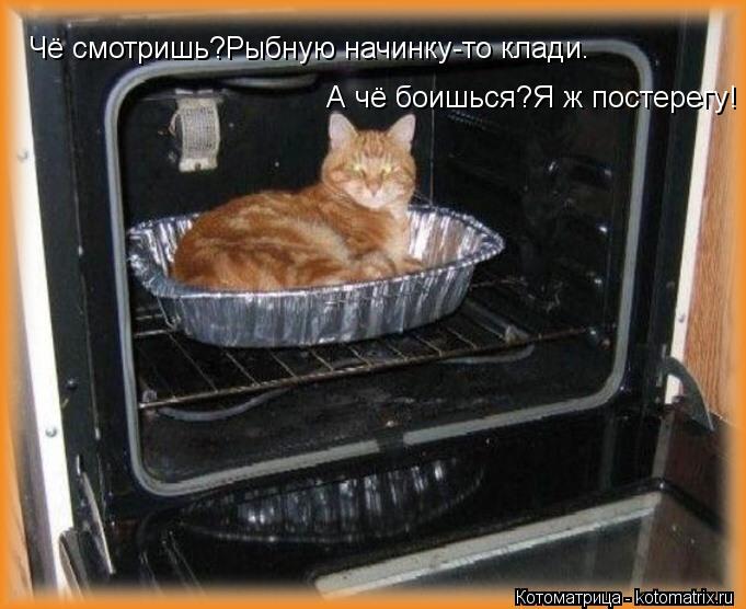 Чё смотришь?Рыбную начинку-то клади. А чё боишься?Я ж постерегу!... Котоматрица: Чё смотришь?Рыбную начинку-то клади. А чё боишься?Я ж постерегу!