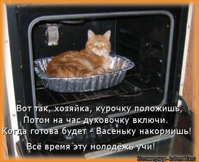 Всё время эту молодёжь учи! Потом на час духовочку включи. Вот так, хозяйка, курочку положишь, Когда ... Котоматрица: Всё время эту молодёжь учи! Потом на час духовочку включи. Вот так, хозяйка, курочку положишь, Когда готова будет - Васеньку накормишь!