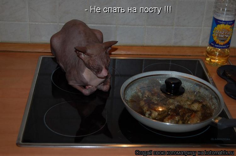 - Не спать на посту !!!... Котоматрица: - Не спать на посту !!!