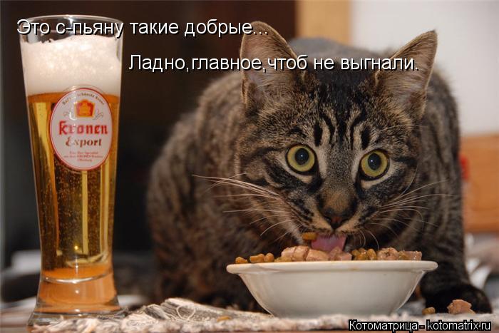 Это с-пьяну такие добрые... Это с-пьяну такие добрые... Ладно,главное,чтоб не выгнали.... Котоматрица: Это с-пьяну такие добрые... Это с-пьяну такие добрые... Ладно,главное,чтоб не выгнали.
