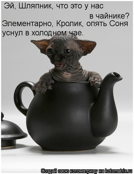 Эй, Шляпник, что это у нас в чайнике? Элементарно, Кролик, опять Соня уснул в холодном чае.... Котоматрица: Эй, Шляпник, что это у нас в чайнике? Элементарно, Кролик, опять Соня уснул в холодном чае.