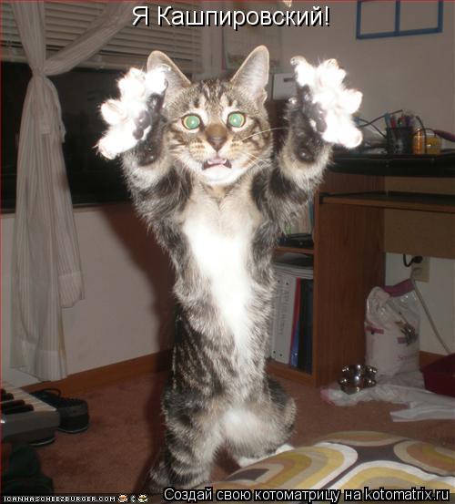Я Кашпировский!... Котоматрица: Я Кашпировский!