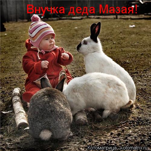 Внучка деда Мазая!... Котоматрица: Внучка деда Мазая!