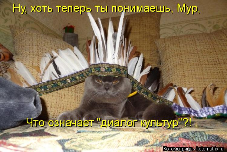 Ну, хоть теперь ты понимаешь, Мур, Что означает "диалог культур"?!... Котоматрица: Ну, хоть теперь ты понимаешь, Мур, Что означает "диалог культур"?!