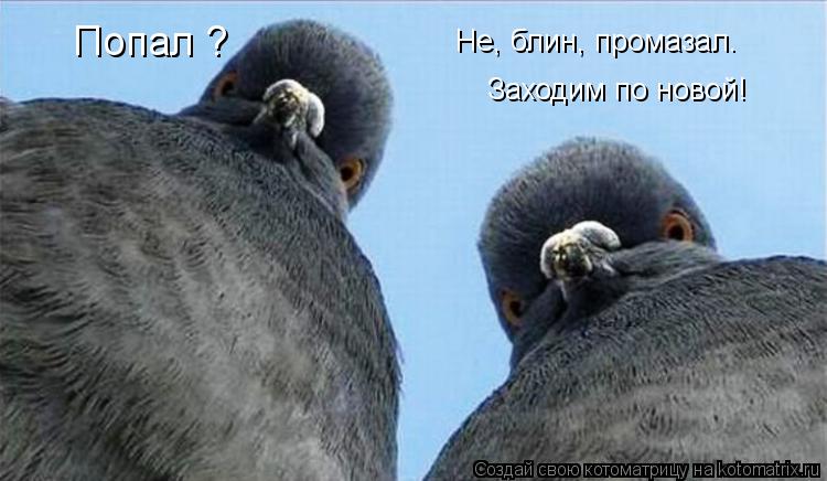 Попал ? Не, блин, промазал. Заходим по новой!... Котоматрица: Попал ? Не, блин, промазал. Заходим по новой!