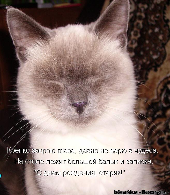 Котоматрица: Крепко закрою глаза, давно не верю в чудеса. На столе лежит большой балык и записка: "С днем рождения, старик!"