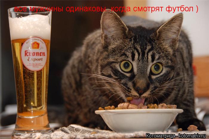 все мужчины одинаковы..когда смотрят футбол )... Котоматрица: все мужчины одинаковы..когда смотрят футбол )