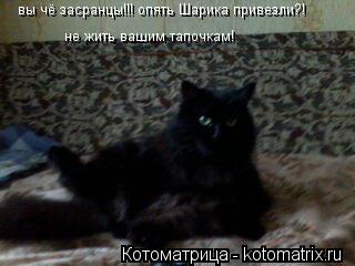 вы чё засранцы!!! опять Шарика привезли?! не жить вашим тапочкам!... Котоматрица: вы чё засранцы!!! опять Шарика привезли?! не жить вашим тапочкам!
