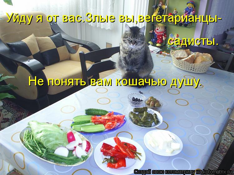 Уйду я от вас.Злые вы,вегетарианцы- садисты. Не понять вам кошачью душу.... Котоматрица: Уйду я от вас.Злые вы,вегетарианцы- садисты. Не понять вам кошачью душу.