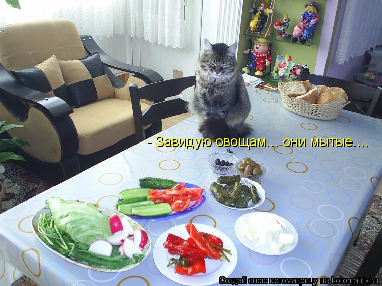 - Завидую овощам... они мытые....... Котоматрица: - Завидую овощам... они мытые....