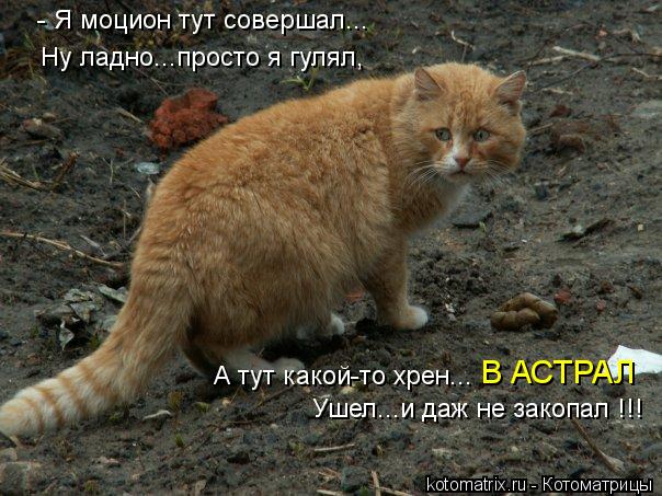 - Я моцион тут совершал... Ну ладно...просто я гулял, Ушел...и даж не закопал !!! В АСТРАЛ А тут како... Котоматрица: - Я моцион тут совершал... Ну ладно...просто я гулял, Ушел...и даж не закопал !!! В АСТРАЛ А тут какой-то хрен...
