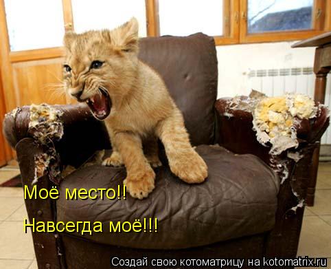Моё место!! Навсегда моё!!!... Котоматрица: Моё место!! Навсегда моё!!!