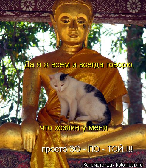 Да я ж всем и всегда говорю, что хозяин у меня просто ЗО - ЛО - ТОЙ !!!... Котоматрица: Да я ж всем и всегда говорю, что хозяин у меня просто ЗО - ЛО - ТОЙ !!!