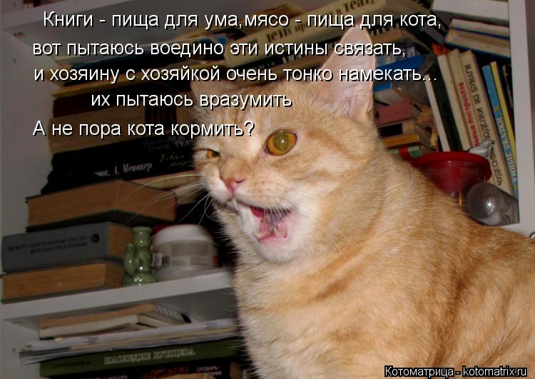 Книги - пища для ума,мясо - пища для кота, вот пытаюсь воедино эти истины связать, и хозяину с хозяйк... Котоматрица: Книги - пища для ума,мясо - пища для кота, вот пытаюсь воедино эти истины связать, и хозяину с хозяйкой очень тонко намекать... их пытаюсь враз