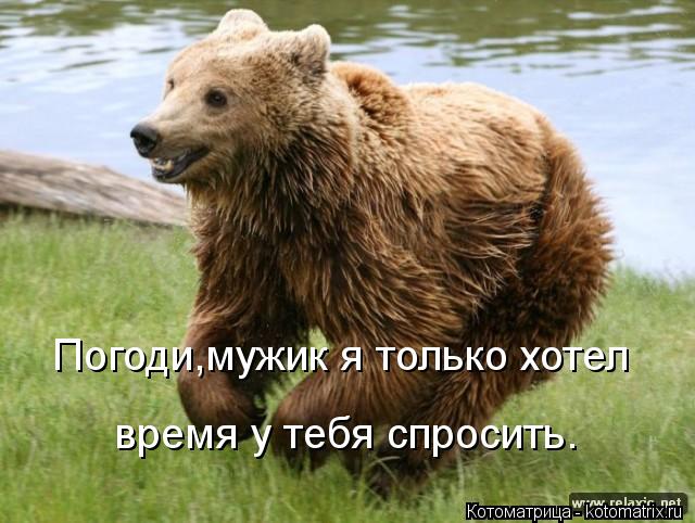 Погоди,мужик я только хотел время у тебя спросить.... Котоматрица: Погоди,мужик я только хотел время у тебя спросить.