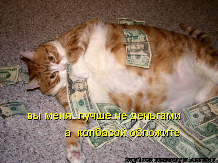 вы меня лучше не деньгами а колбасой обложите... Котоматрица: вы меня лучше не деньгами а колбасой обложите