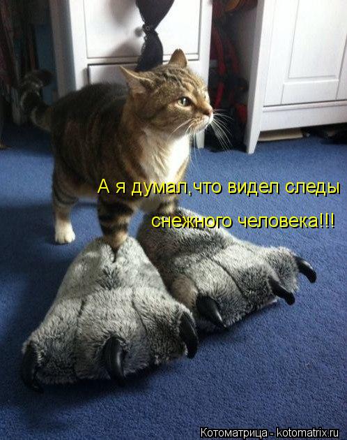А я думал,что видел следы снежного человека!!!... Котоматрица: А я думал,что видел следы снежного человека!!!