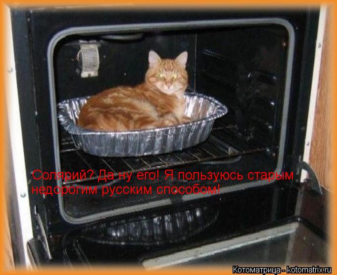 Солярий? Да ну его! Я пользуюсь старым недорогим русским способом!... Котоматрица: Солярий? Да ну его! Я пользуюсь старым недорогим русским способом!