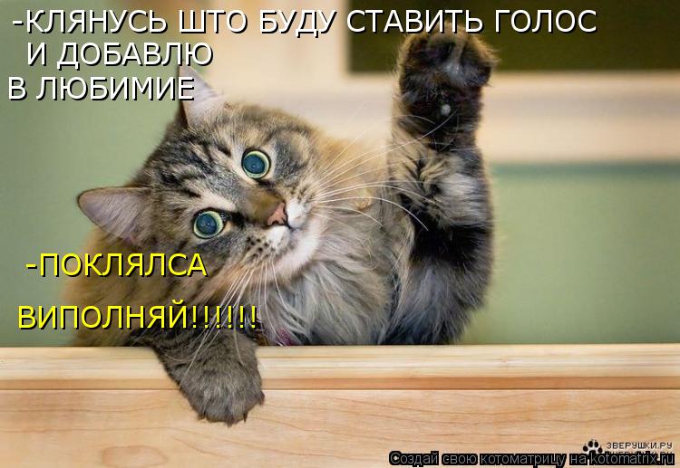 -КЛЯНУСЬ ШТО БУДУ СТАВИТЬ ГОЛОС И ДОБАВЛЮ В ЛЮБИМИЕ -ПОКЛЯЛСА ВИПОЛНЯЙ!!!!!!... Котоматрица: -КЛЯНУСЬ ШТО БУДУ СТАВИТЬ ГОЛОС И ДОБАВЛЮ В ЛЮБИМИЕ -ПОКЛЯЛСА ВИПОЛНЯЙ!!!!!!