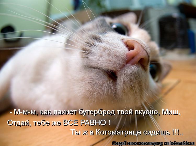 Отдай, тебе же ВСЕ РАВНО ! Ты ж в Котоматрице сидишь !!!.. - М-м-м, как пахнет бутерброд твой вкусно,... Котоматрица: Отдай, тебе же ВСЕ РАВНО ! Ты ж в Котоматрице сидишь !!!.. - М-м-м, как пахнет бутерброд твой вкусно, Миш,
