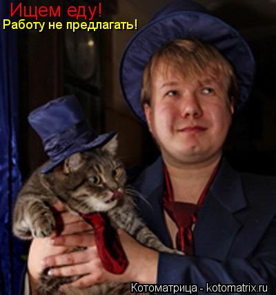 Ищем еду! Работу не предлагать!... Котоматрица: Ищем еду! Работу не предлагать!