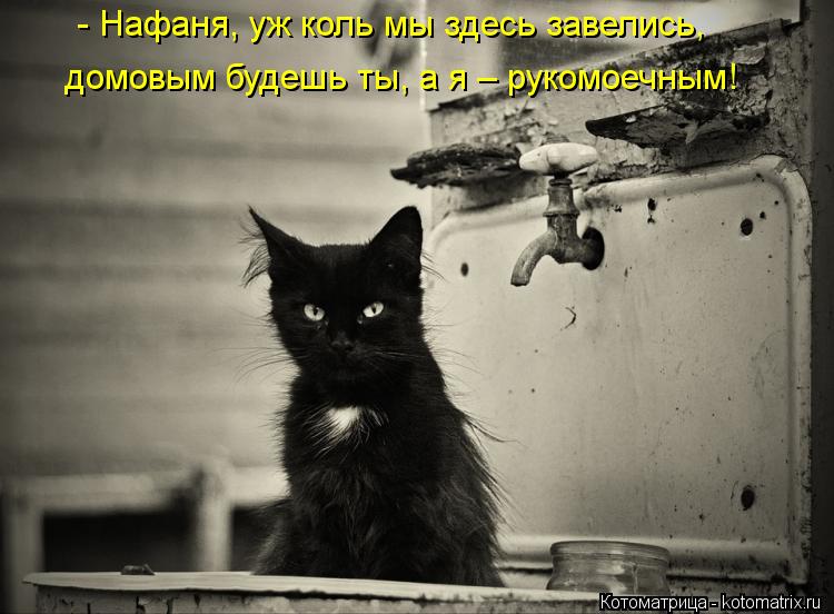 - Нафаня, уж коль мы здесь завелись, домовым будешь ты, а я – рукомоечным!... Котоматрица: - Нафаня, уж коль мы здесь завелись, домовым будешь ты, а я – рукомоечным!