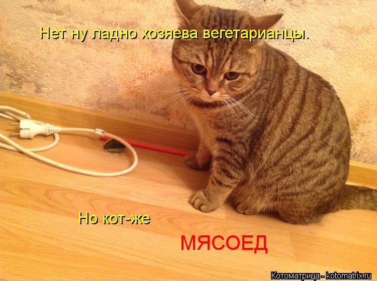 Нет ну ладно хозяева вегетарианцы. Но кот-же МЯСОЕД... Котоматрица: Нет ну ладно хозяева вегетарианцы. Но кот-же МЯСОЕД