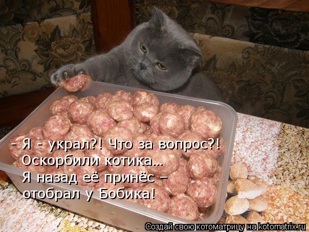 - Я - украл?! Что за вопрос?! Оскорбили котика… Я назад её принёс – отобрал у Бобика!... Котоматрица: - Я - украл?! Что за вопрос?! Оскорбили котика… Я назад её принёс – отобрал у Бобика!