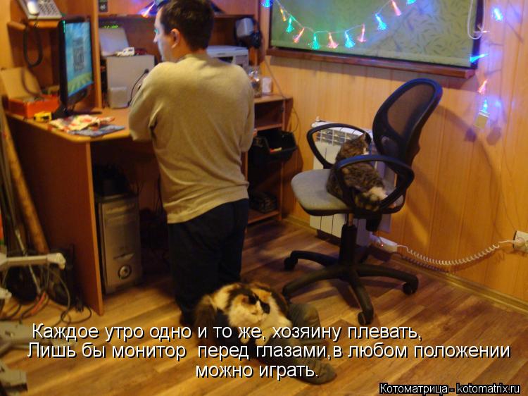 Каждое утро одно и то же, хозяину плевать, Лишь бы монитор перед глазами,в любом положении можно иг... Котоматрица: Каждое утро одно и то же, хозяину плевать, Лишь бы монитор перед глазами,в любом положении можно играть.