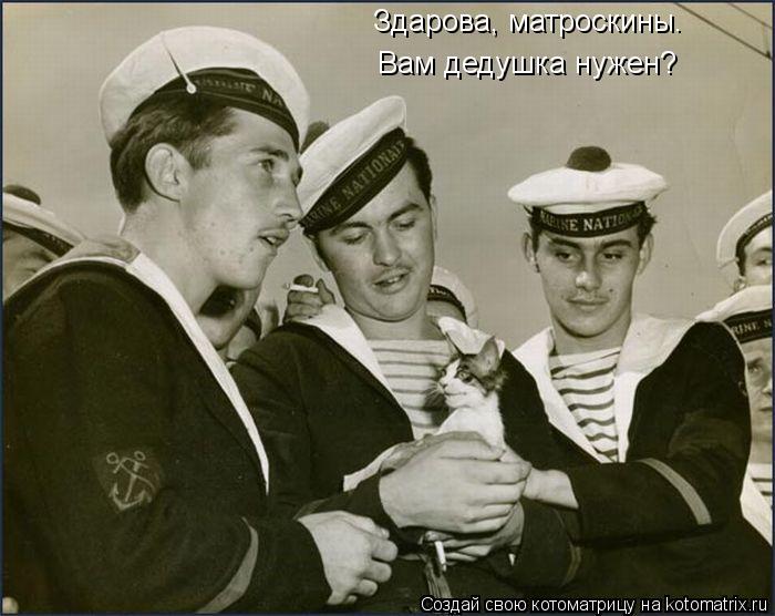 Здарова, матроскины. Вам дедушка нужен?... Котоматрица: Здарова, матроскины. Вам дедушка нужен?