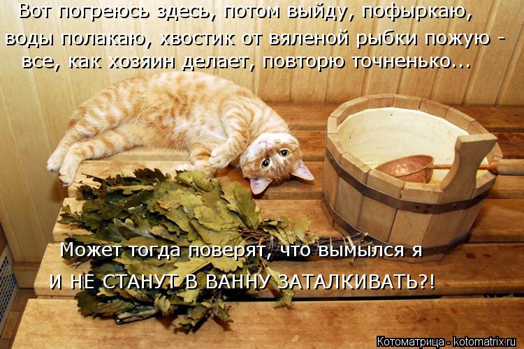 Может тогда поверят, что вымылся я И НЕ СТАНУТ В ВАННУ ЗАТАЛКИВАТЬ?! Вот погреюсь здесь, потом выйду... Котоматрица: Может тогда поверят, что вымылся я И НЕ СТАНУТ В ВАННУ ЗАТАЛКИВАТЬ?! Вот погреюсь здесь, потом выйду, пофыркаю, воды полакаю, хвостик от вяле