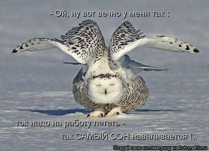 ток надо на работу лететь - так САМЫЙ СОН наваливается !.. - Ой, ну вот вечно у меня так :... Котоматрица: ток надо на работу лететь - так САМЫЙ СОН наваливается !.. - Ой, ну вот вечно у меня так :
