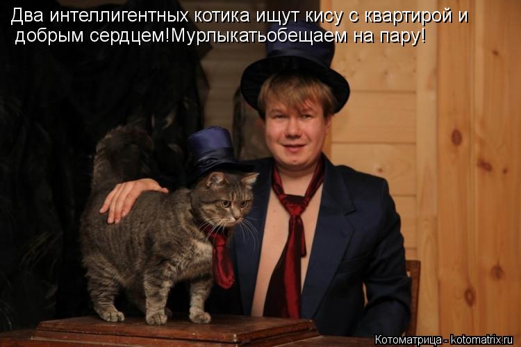 Два интеллигентных котика ищут кису с квартирой и добрым сердцем!Мурлыкатьобещаем на пару!... Котоматрица: Два интеллигентных котика ищут кису с квартирой и добрым сердцем!Мурлыкатьобещаем на пару!