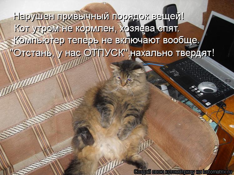 Котоматрица: Нарушен привычный порядок вещей! Кот утром не кормлен, хозяева спят. Компьютер теперь не включают вообще. "Отстань, у нас ОТПУСК" нахально тв