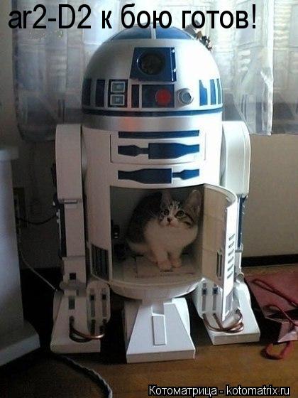 ar2-D2 к бою готов!... Котоматрица: ar2-D2 к бою готов!