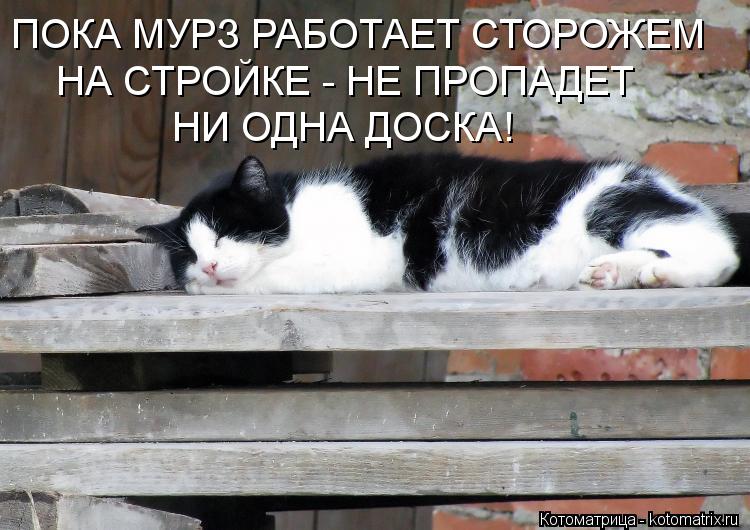 ПОКА МУРЗ РАБОТАЕТ СТОРОЖЕМ НА СТРОЙКЕ - НЕ ПРОПАДЕТ НИ ОДНА ДОСКА!... Котоматрица: ПОКА МУРЗ РАБОТАЕТ СТОРОЖЕМ НА СТРОЙКЕ - НЕ ПРОПАДЕТ НИ ОДНА ДОСКА!
