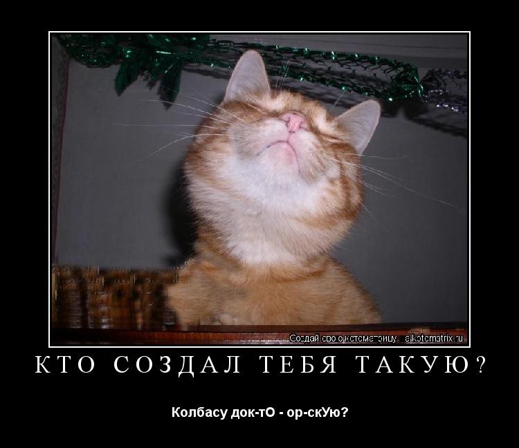 КТО СОЗДАЛ ТЕБЯ ТАКУЮ? Колбасу док-тО - ор-скУю?... Котоматрица: КТО СОЗДАЛ ТЕБЯ ТАКУЮ? Колбасу док-тО - ор-скУю?