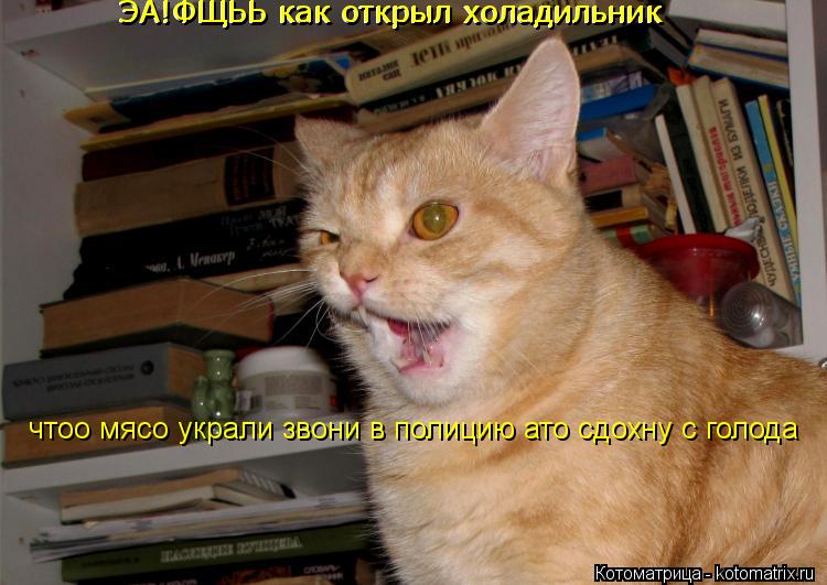 ЭА!ФЩЬЬ как открыл холадильник ЭА!ФЩЬЬ как открыл холадильник чтоо мясо украли звони в полицию ато сд... Котоматрица: ЭА!ФЩЬЬ как открыл холадильник ЭА!ФЩЬЬ как открыл холадильник чтоо мясо украли звони в полицию ато сдохну с голода