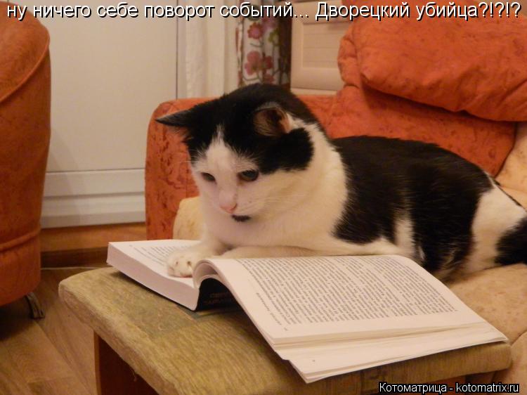 ну ничего себе поворот событий... Дворецкий убийца?!?!?... Котоматрица: ну ничего себе поворот событий... Дворецкий убийца?!?!?