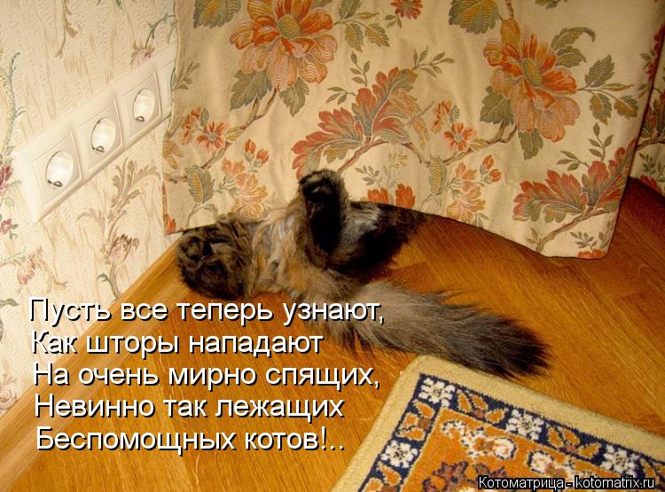 Котоматрица: Пусть все теперь узнают, Как шторы нападают На очень мирно спящих, Невинно так лежащих Беспомощных котов!..