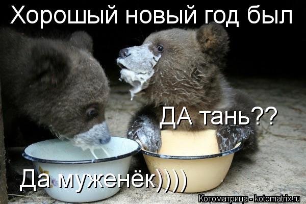 Хорошый новый год был ДА тань?? Да муженёк))))... Котоматрица: Хорошый новый год был ДА тань?? Да муженёк))))