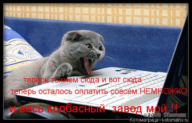 теперь тыкнем сюда и вот сюда теперь осталось оплатить совсем НЕМНОЖКО и весь колбасный завод мой... Котоматрица: теперь тыкнем сюда и вот сюда теперь осталось оплатить совсем НЕМНОЖКО и весь колбасный завод мой !!