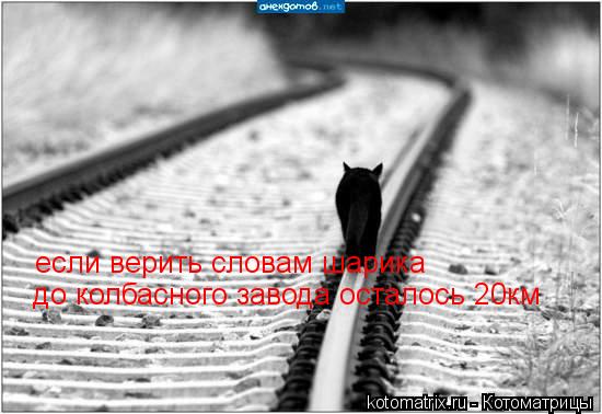 если верить словам шарика до колбасного завода осталось 20км... Котоматрица: если верить словам шарика до колбасного завода осталось 20км