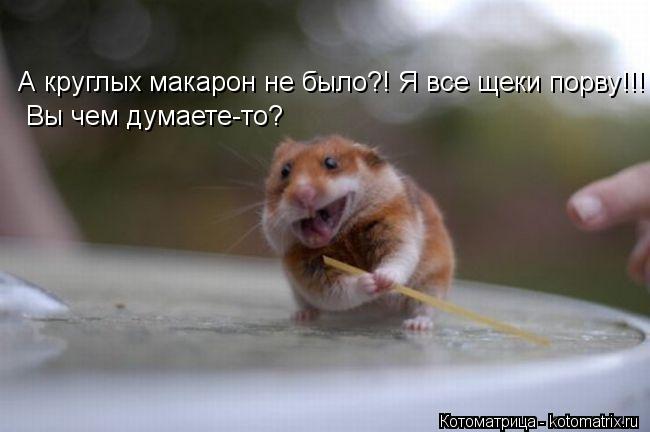 А круглых макарон не было?! Я все щеки порву!!! Вы чем думаете-то?... Котоматрица: А круглых макарон не было?! Я все щеки порву!!! Вы чем думаете-то?