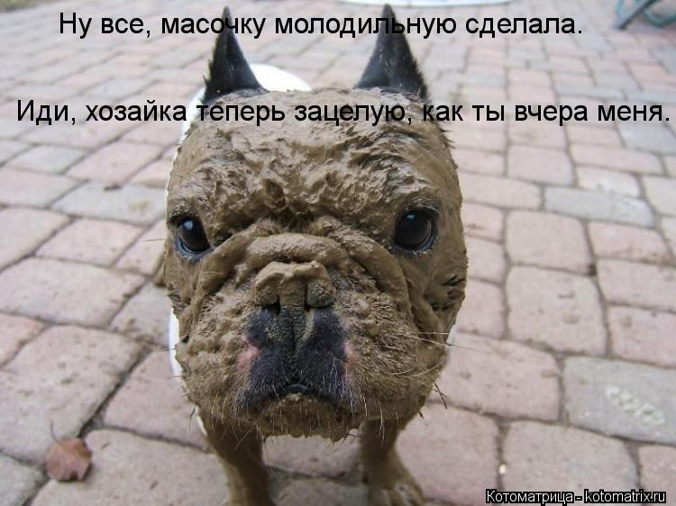Ну все, масочку молодильную сделала. Иди, хозайка теперь зацелую, как ты вчера меня.... Котоматрица: Ну все, масочку молодильную сделала. Иди, хозайка теперь зацелую, как ты вчера меня.