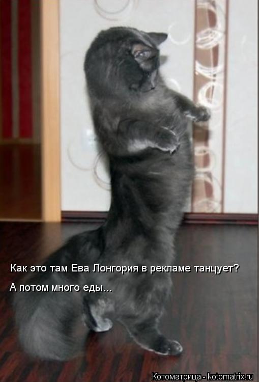Как это там Ева Лонгория в рекламе танцует? А потом много еды...... Котоматрица: Как это там Ева Лонгория в рекламе танцует? А потом много еды...