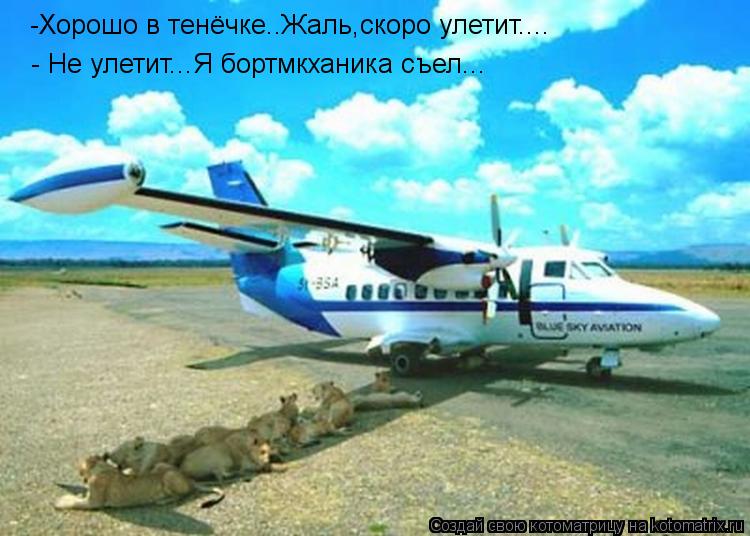 -Хорошо в тенёчке..Жаль,скоро улетит.... - Не улетит...Я бортмкханика съел...... Котоматрица: -Хорошо в тенёчке..Жаль,скоро улетит.... - Не улетит...Я бортмкханика съел...