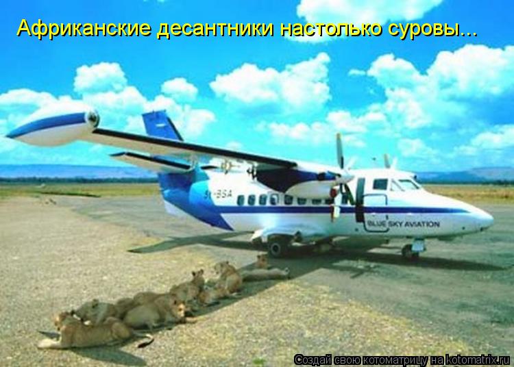 Африканские десантники настолько суровы...... Котоматрица: Африканские десантники настолько суровы...